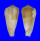 CONIDAE CONUS CONSORS shell
