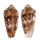 CONIDAE CONUS FLOCCATUS shell