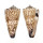 CONIDAE CONUS THALASSIARCHUS shell