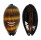 CYPRAEIDAE TALPARIA TALPA shell