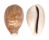 CYPRAEIDAE CYPRAEA VITELLUS shell