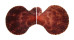 PECTINIDAE MIMACHLAMYS SANGUINEA shell