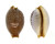 CYPRAEIDAE CYPRAEA STAPHYLAEA STAPHYLAEA shell