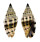 MITRIDAE VEXILLUM PLICARIA shell