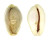 CYPRAEIDAE EROSARIA BOIVINI shell