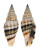 MITRIDAE VEXILLUM cf. BALTEOLATUM shell