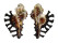 MURICIDAE HOMALOCANTHA NINAE shell