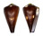 CONIDAE CONUS VEXILLUM shell