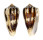 CONIDAE CONUS MAGUS RAPHANUS shell