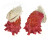 SPONDYLIDAE CARDITA CRASSICOSTA shell