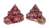 TROCHIDAE TROCHUS  FERREIRAI shell