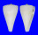 CONIDAE CONUS SUGIMOTONIS shell