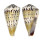 CONIDAE CONUS MUSTELINUS shell
