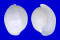 HAMINOEIDAE ATYS NAUCUM shell