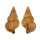 CORALLIOPHILIDAE CORALLIOPHILA AMIRANTIUM shell