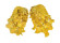 CARDITIDAE CARDITA CRASSICOSTA shell