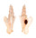 MURICIDAE PTERYNOTUS ELONGATUS shell