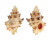MURICIDAE ATTILIOSA NODULIFERA shell