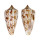 CONIDAE CONUS IODOSTOMA shell