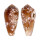 CONIDAE CONUS OMARIA VIPERINUS shell