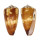 CONIDAE CONUS FERRUGINEUS SOPHIAE shell