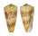 CONIDAE CONUS NOBILIS VICTOR shell