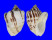 BUCCINIDAE CANTHARUS DISTORTA shell
