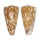 CONIDAE CONUS NOBILIS cf. SKINNERI shell