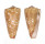 CONIDAE CONUS NOBILIS VICTOR shell