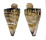 CONIDAE CONUS LITTERATUS shell