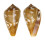 CONIDAE CONUS GUINAICUS shell