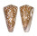 CONIDAE CONUS NOBILIS cf.SKINNERI shell
