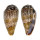 CONIDAE CONUS CACAO shell