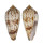 CONIDAE CONUS LYNCEUS shell