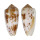 CONIDAE CONUS FLOCCATUS shell