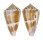 CONIDAE CONUS LISCHKEANUS SUBROSEUS shell