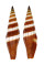 MITRIDAE VEXILLUM COCCINEA shell