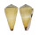 CONIDAE CONUS DISTANS shell