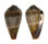 CONIDAE CONUS CACAO shell