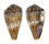 CONIDAE CONUS CACAO shell