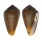 CONIDAE CONUS UNIFASCIATUS shell