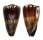 CONIDAE CONUS VITULINUS shell