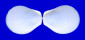 LIMIDAE LIMA SCABRA shell