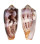 CONIDAE CONUS CIRCUMCISUS shell