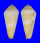 CONIDAE CONUS TEREBRA shell