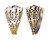 CONIDAE CONUS CAPITANEUS shell