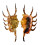 STROMBIDAE LAMBIS SCORPIO shell