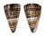CONIDAE CONUS LITTERATUS shell