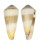 CONIDAE CONUS TEREBRA shell