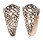 CONIDAE CONUS MARMOREUS shell